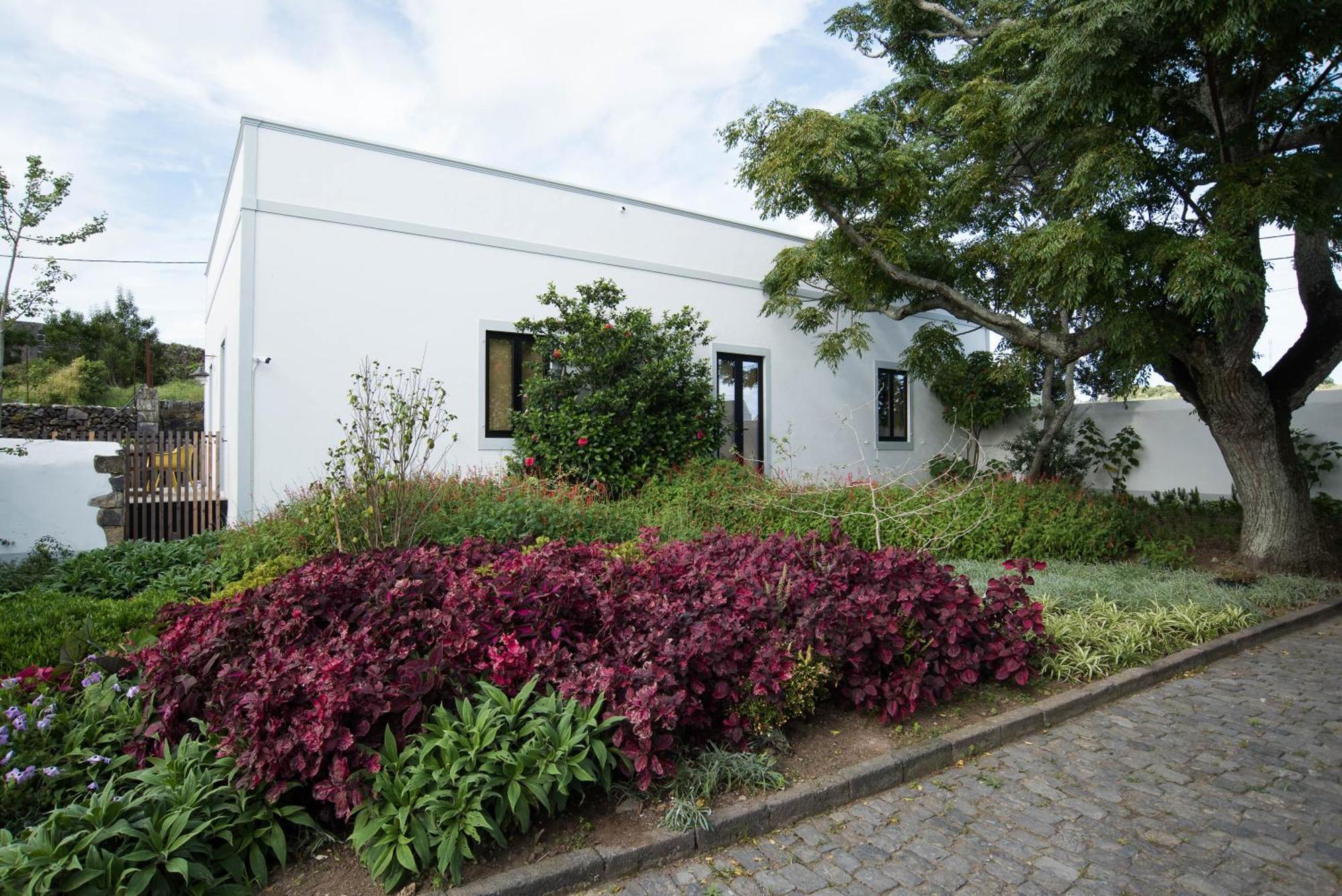 Green&Houses Ponta Delgada - Açores Exterior foto
